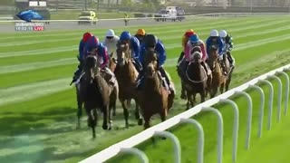 Dubai World Cup 2019- Race 3
