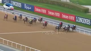 Dubai World Cup 2019- Race 5