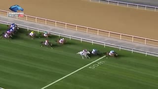 Dubai World Cup 2019- Race 7