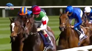 Dubai World Cup 2019- Race 8