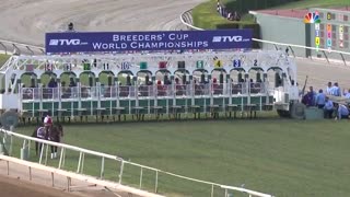 Breeders' Cup Mile