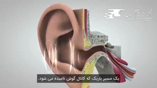 ماجرای سفر صداها به درون مغز