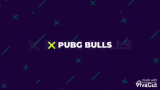 bulls