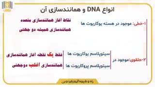 همانند سازی یک جهتی‌و دو جهتی