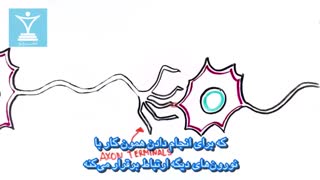 همه چیز در مورد الکترولیت