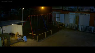 فیلم سینمایی ژاپنی  زندگی من به عنوان یک گربه 2019 ( My Life as a Cat (Tora san: Boku ga Neko ni Natta Wake