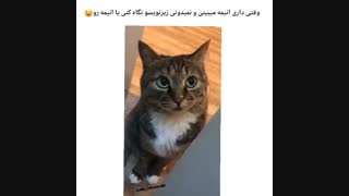 وقتی داری انیمه میبینی و ... XD