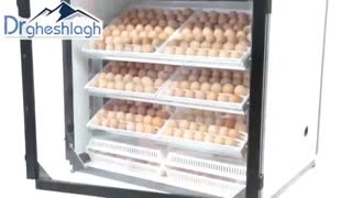 دستگاه جوجه کشی 336 تایی دکتر قشلاق