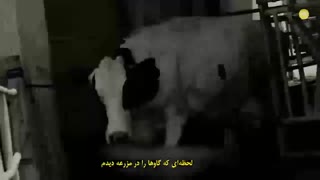 تیزر 18تحت تعقیب