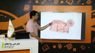 کلسیم کجاها ذخیره میشه؟