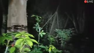 روح و جن ترسناک