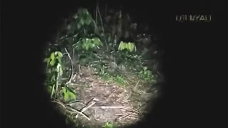 روح و جن ترسناک