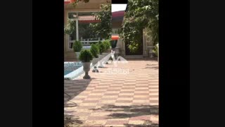 850 متر باغ ویلا در مهرچین ملارد