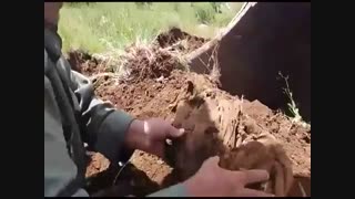 مستند تفحص شهدای عزیز دفاع مقدس