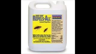 کشنده ترین سم مارمولک کش