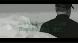 نوحه بوشهری بیاد شهید حاج قاسم سلیمانی با صدای ایمان میرشکاری رادیوگرافی دندان