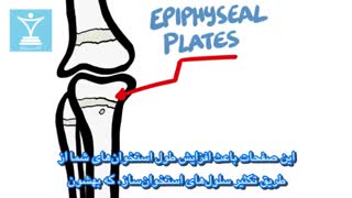 آیا بدنسازی جلوی رشد قد را میگیرد؟