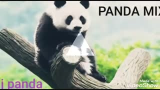 DJ PANDA_PANDA MIX