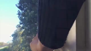 پلاستیک عایق آسان مش برای عایق کردن پنجره