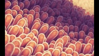 بهترین روش درمان خانگی قارچ سر + علائم