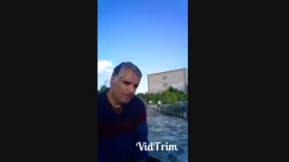 نخلها میبینند