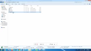 روش داده های پانل