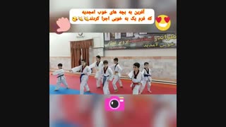 نمایش زیبایی  فرم یک تکواندو توسط خردسالان(( وبلاگ تکواندو استاد جلیل قلندری))