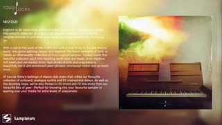 Touch Loops - Neo Dub WAV دانلود لوپ و سمپل