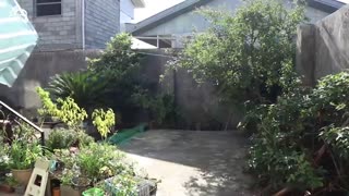 خرید ویلای دو طبقه مجزا در بندرانزلی