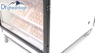 دستگاه جوجه کشی 504 تایی دکتر قشلاق