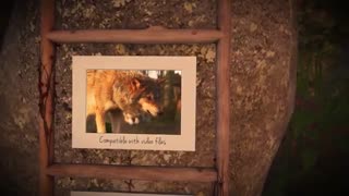 دانلود پروژه آماده افتر افکت گالری عکس