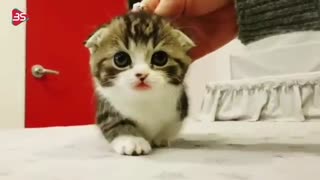 بیا دخترم ملیکا