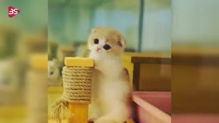 مامانیای خوشملم برای شما