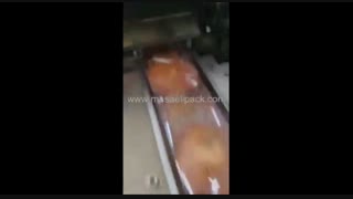 دستگاه بسته بندی بادمجان صادراتی