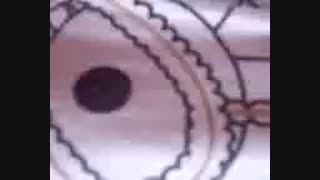 سر امتحان ترم علوم:/