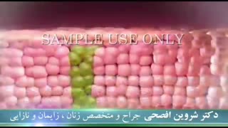 راه تشخیص و درمان زگیل تناسلی