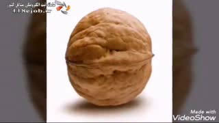 نهالستان و گلخانه بهترین گیاه (bestplant) در ارومیه