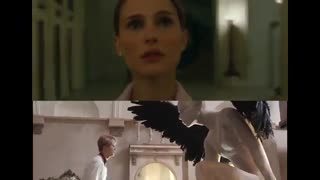 Bs,&t تشابه با فیلم black swan