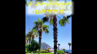 آنچه مشاور املاک های حرفه ای در استانبول نمی خواهند شما بدانید