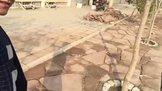 اجرای سنگ فرش با سنگ ورقه ای کف ۰۹۱۲۵۶۶۳۱۸۵