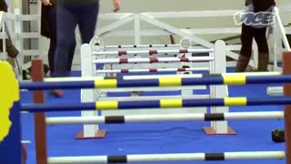 مسابقه جالب و بامزه پرش خرگوش ها