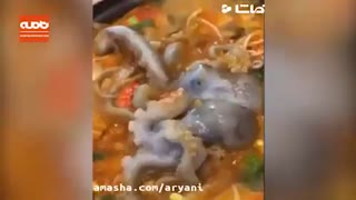 غذاهای منزجرکننده ای که چینی ها می خورند