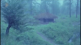 سکانسی از فیلم ریشه در خون - iCinemaa.com