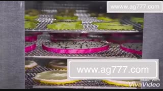دستگاه خشک کن میوه و سبزی