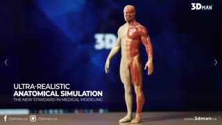 Digital Anatomy | Full color 3D Printing services in Toronto