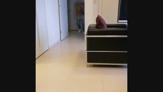 های من بعداز مدت ها اومدم