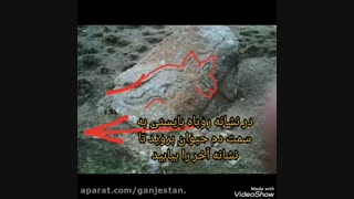 فرید باقری - ‌نشان روباه