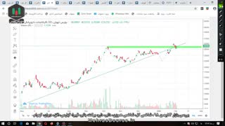 بررسی بازار 13بهمن 98 ، شاخص کل، شاخص هموزن، دالبر، دارو، برکت، بالبر، قپیرا، گپارس، افق، دیران، کهرام