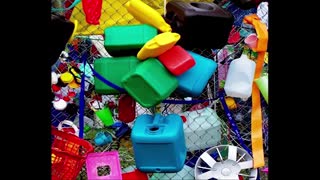 نکات خرید بار زنده