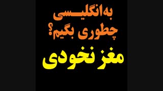 چطوری در انگلیسی بگیم؟ او مغز نخودی است؟